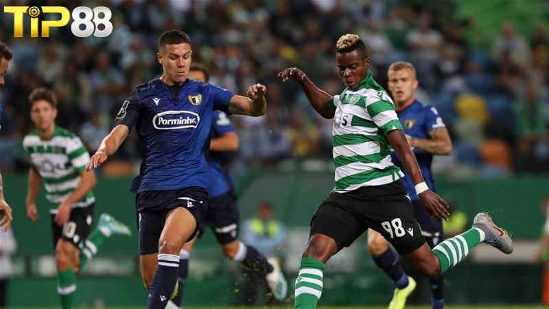 Lịch sử đối đầu giữa Sporting Lisbon vs FC Famalicao