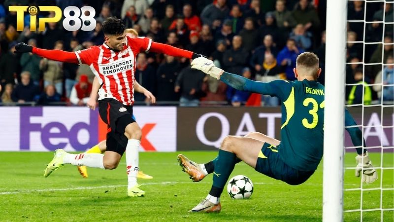 Lịch sử đối đầu giữa PSV Eindhoven vs Shakhtar Donetsk