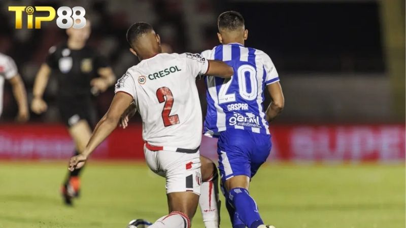 Lịch sử đối đầu giữa Botafogo SP vs Avai
