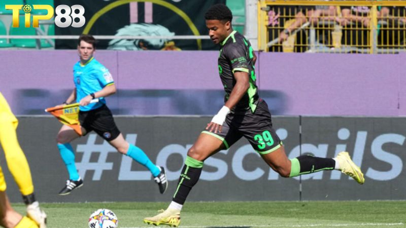 Lịch sử đối đầu giữa Catanzaro vs Avellino