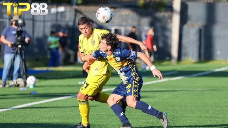 Lịch sử đối đầu giữa Sportivo Trinidense vs Recoleta