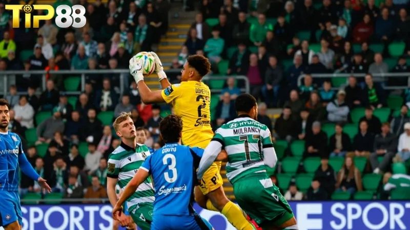 Lịch sử đối đầu giữa Waterford vs Shamrock Rovers
