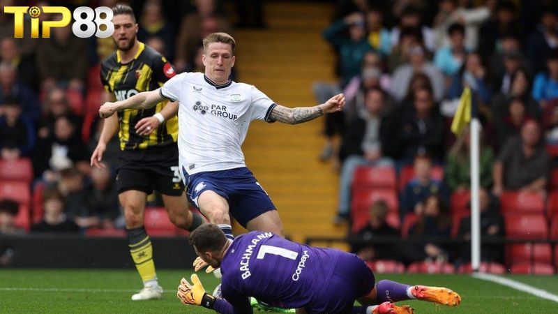 Lịch sử đối đầu giữa Preston vs Watford