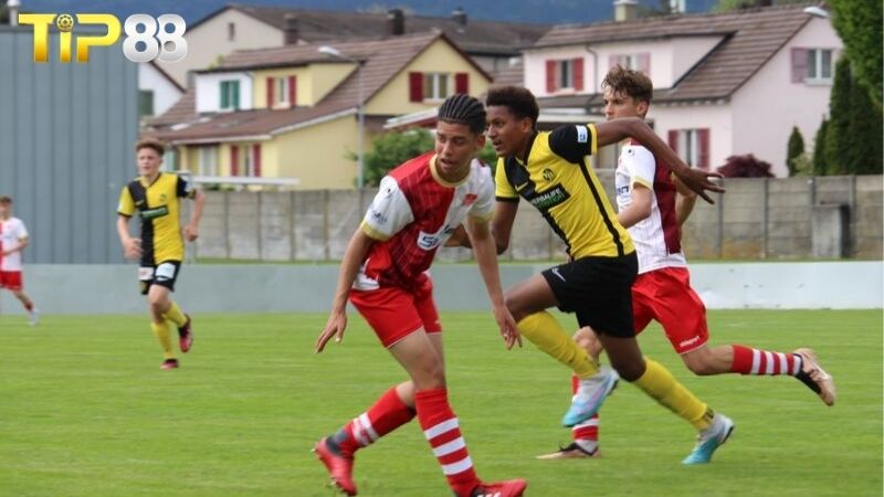 Lịch sử đối đầu giữa Solothurn vs Young Boys II