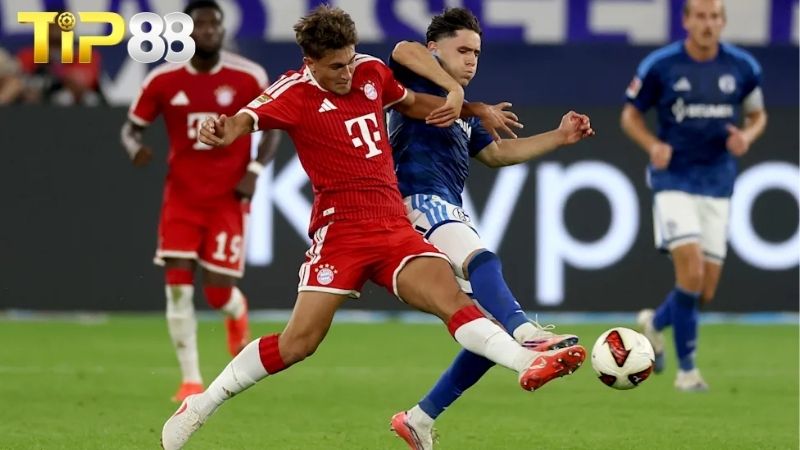 Lịch sử đối đầu giữa Bayern Munich vs Bodo/Glimt