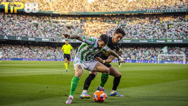 Lịch sử đối đầu Valencia vs Real Betis
