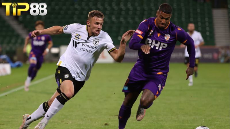 Lịch sử đối đầu giữa Macarthur FC vs Perth Glory