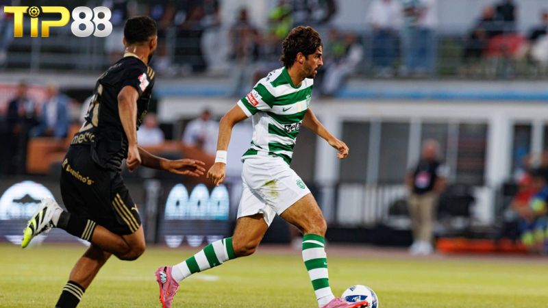 Lịch sử đối đầu giữa Sporting Lisbon vs Nacional Madeira
