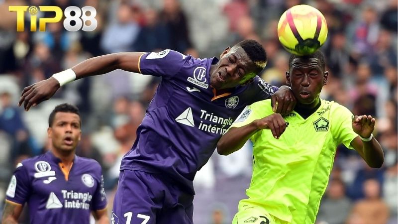 Lịch sử đối đầu giữa Toulouse vs Lille