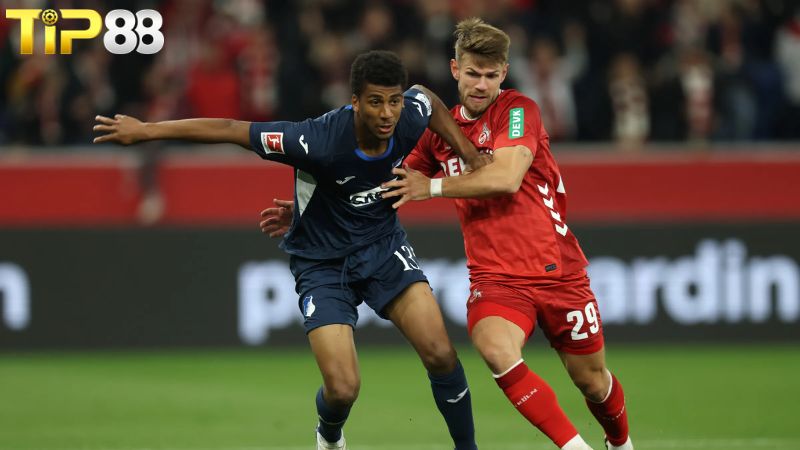Lịch sử đối đầu giữa FC Koln vs Hoffenheim