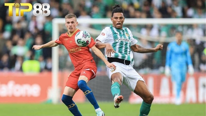 Lịch sử đối đầu giữa Gil Vicente vs Rio Ave