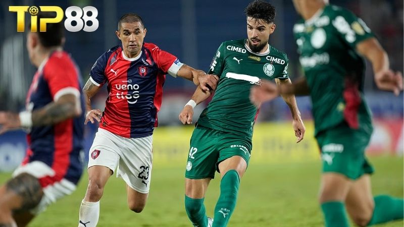 Lịch sử đối đầu giữa Palmeiras vs Cerro Porteno