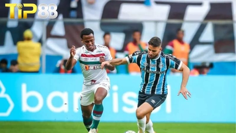 Lịch sử đối đầu giữa Gremio vs Fluminense