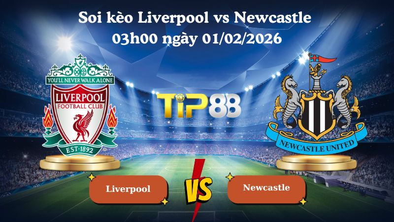 Nhận định soi kèo Liverpool vs Newcastle 03h00 ngày 01/02/2026