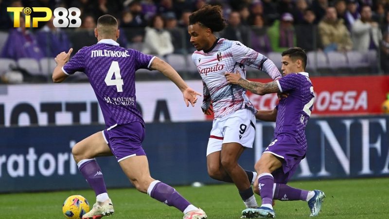Lịch sử đối đầu Fiorentina vs Bologna