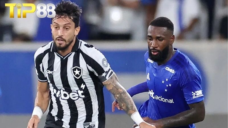 Lịch sử đối đầu giữa Cruzeiro vs Botafogo RJ