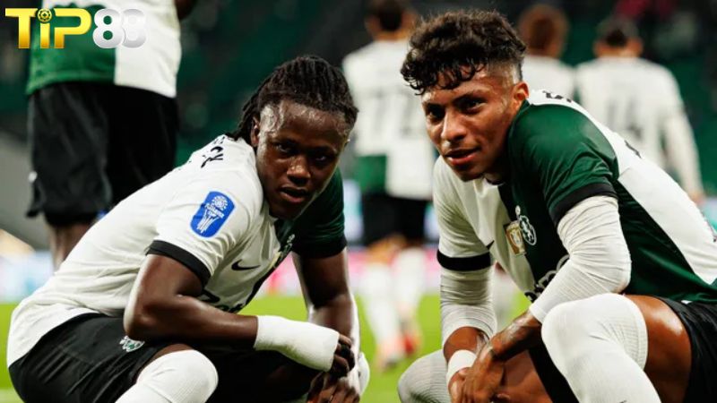 Lịch sử đối đầu giữa Sporting Lisbon vs AVS