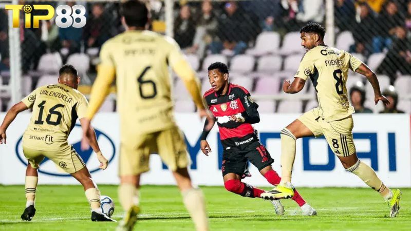 Lịch sử đối đầu giữa Independiente Medellin vs Flamengo