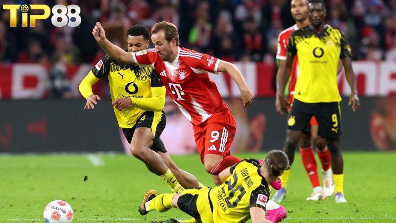 Lịch sử đối đầu giữa Dortmund vs Bayern Munich