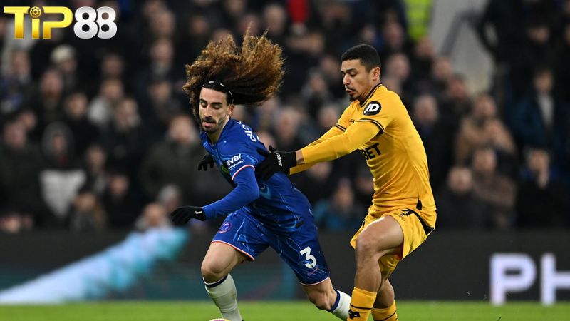 Lịch sử đối đầu giữa Wolves vs Chelsea