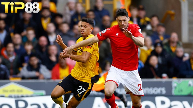 Lịch sử đối đầu giữa Nottingham Forest vs Wolves