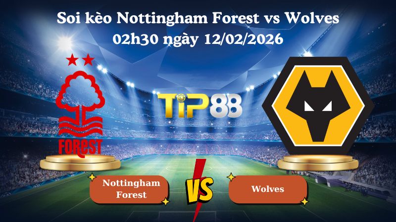soi kèo Nottingham Forest vs Wolves 02h30 ngày 12/02/2026