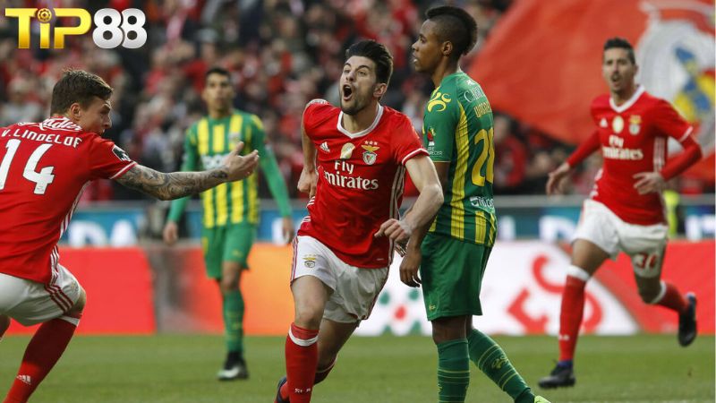 Lịch sử đối đầu giữa CD Tondela vs Benfica