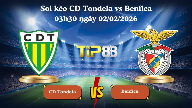 soi kèo CD Tondela vs Benfica 03h30 ngày 02/02/2026