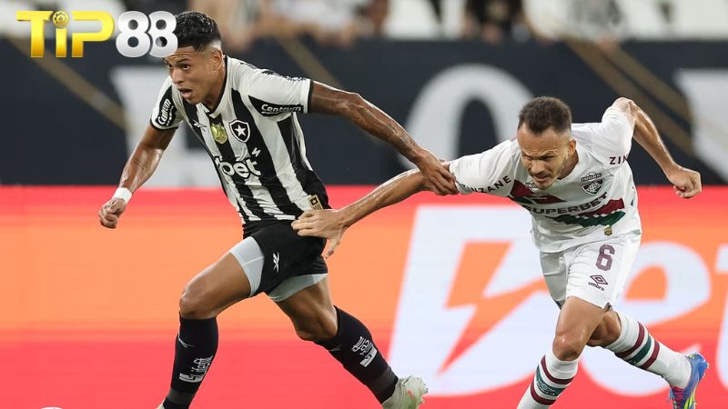 Lịch sử đối đầu giữa Botafogo RJ vs Fluminense