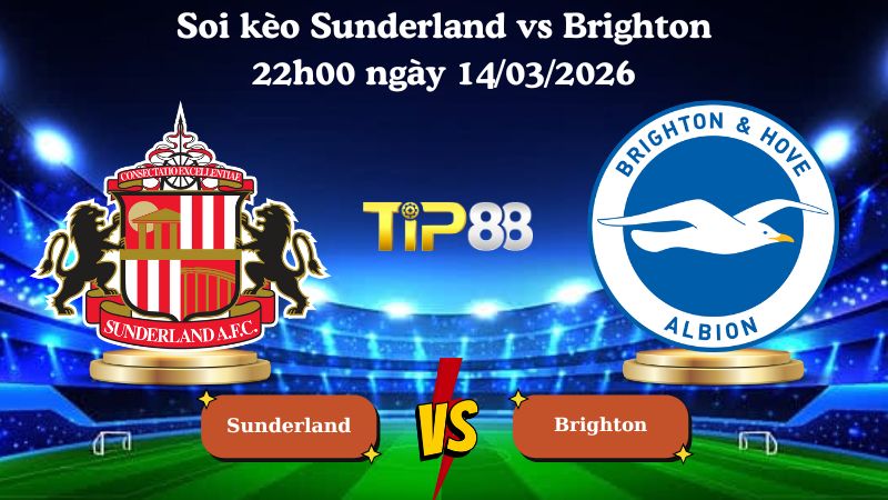 soi kèo Sunderland vs Brighton 22h00 ngày 14/03/2026