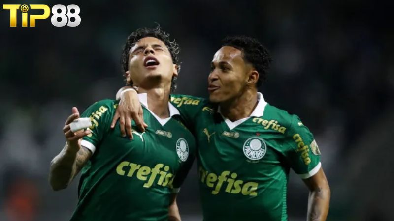 Lịch sử đối đầu giữa Vasco da Gama vs Palmeiras