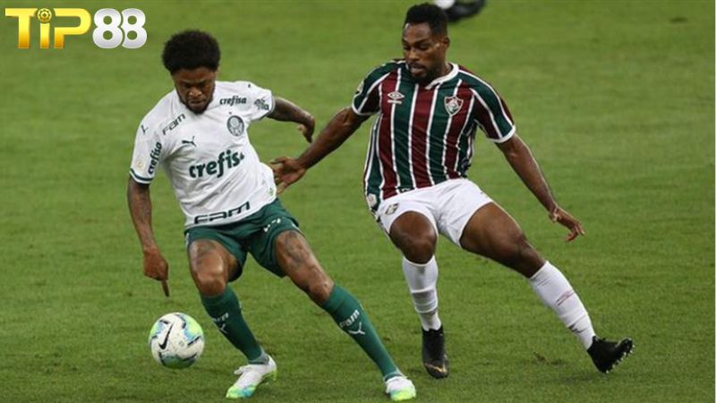 Lịch sử đối đầu giữa Palmeiras vs Fluminense