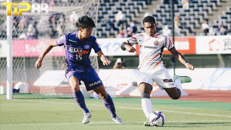 Lịch sử đối đầu giữa Nagoya Grampus vs Sanfrecce Hiroshima