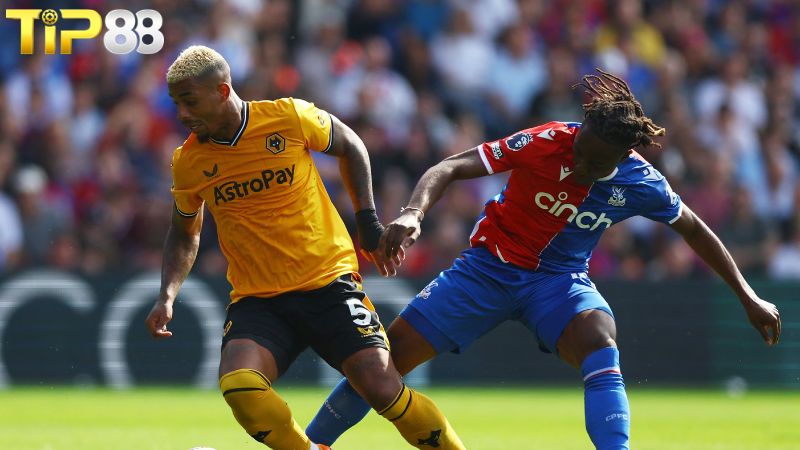 Lịch sử đối đầu giữa Crystal Palace vs Wolves
