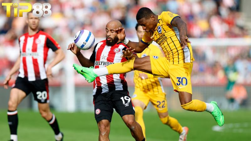 Lịch sử đối đầu giữa Brentford vs Brighton