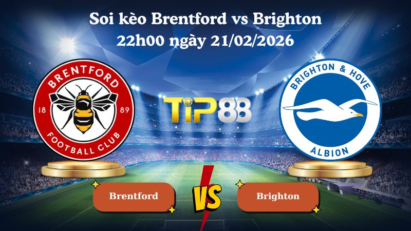 soi kèo Brentford vs Brighton 22h00 ngày 21/02/2026