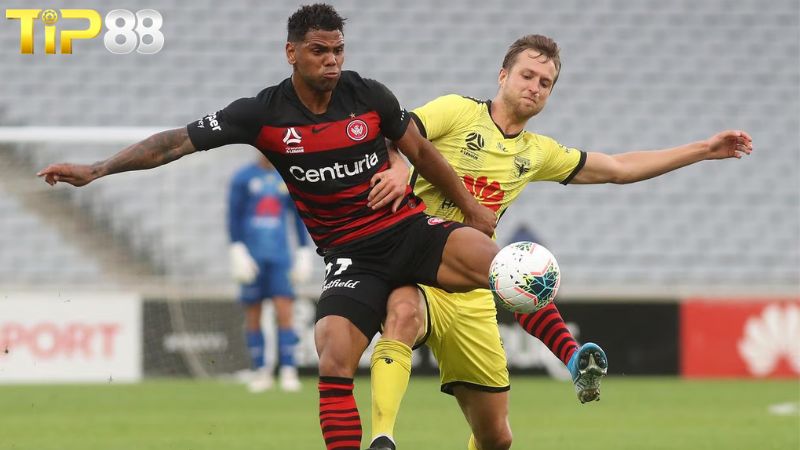 Lịch sử đối đầu giữa Western Sydney Wanderers vs Wellington Phoenix
