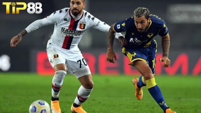 Lịch sử đối đầu giữa Verona vs Genoa