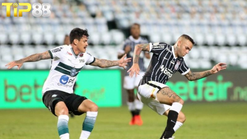 Lịch sử đối đầu giữa Corinthians vs Coritiba