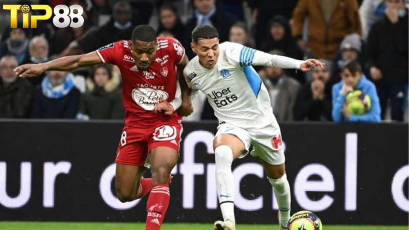 Lịch sử đối đầu giữa Brest vs Marseille