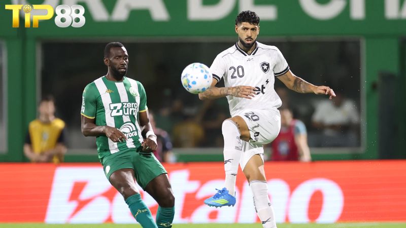 Lịch sử đối đầu giữa Chapecoense vs Botafogo RJ