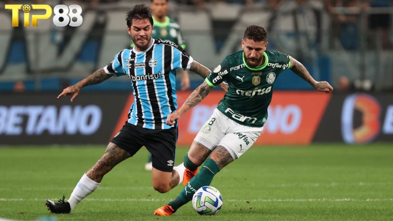 Lịch sử đối đầu giữa Palmeiras vs Gremio