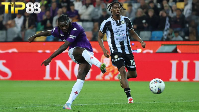 Lịch sử đối đầu giữa Udinese vs Fiorentina