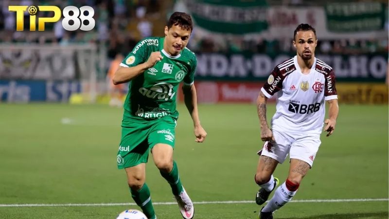 Lịch sử đối đầu giữa Chapecoense SC vs Flamengo RJ