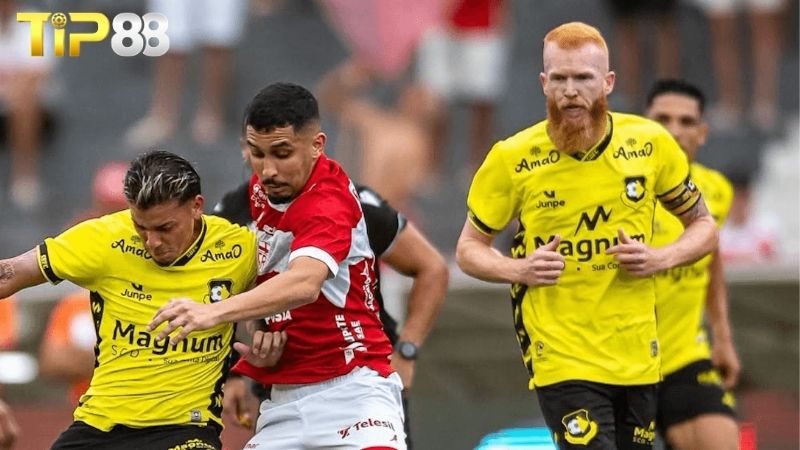 Lịch sử đối đầu giữa Criciuma vs Sao Bernardo