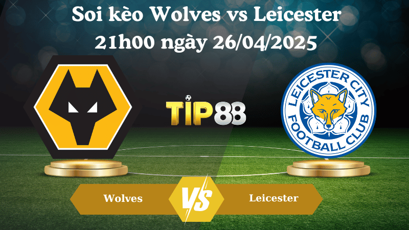Nhận định soi kèo Wolves vs Leicester 21h00 ngày 26/04/2025 - Ngoại hạng Anh TIP88