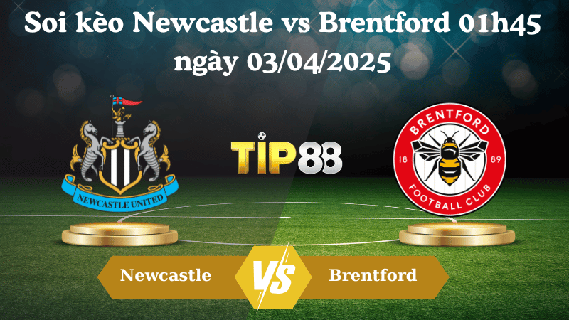 Nhận định soi kèo Newcastle vs Brentford 01h45 ngày 03/04/2025 - Ngoại hạng Anh TIP88
