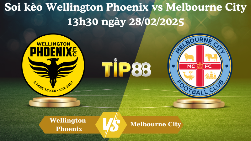Nhận định soi kèo Wellington Phoenix vs Melbourne City 13h30 ngày 28/02/2025 - VĐQG Úc TIP88
