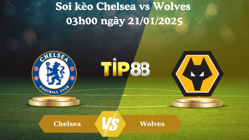 Nhận định soi kèo Chelsea vs Wolves 03h00 ngày 21/01/2025 - Ngoại Hạng Anh TIP88