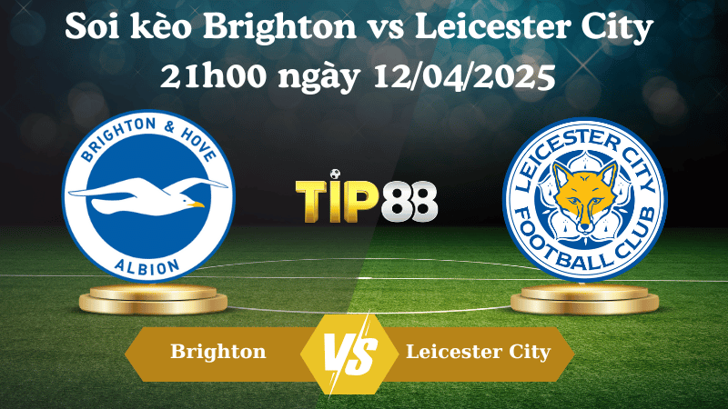 Nhận định soi kèo Brighton vs Leicester City 21h00 ngày 12/04/2025 - Ngoại hạng Anh TIP88